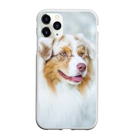 Чехол для iPhone 11 Pro матовый с принтом Австралийская овчарка в Тюмени, Силикон |  | австралийская овчарка | животные | природа | собака | щенок