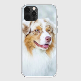 Чехол для iPhone 12 Pro Max с принтом Австралийская овчарка в Тюмени, Силикон |  | австралийская овчарка | животные | природа | собака | щенок