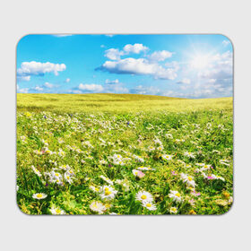 Коврик прямоугольный с принтом Ромашковый ковёр в Тюмени, натуральный каучук | размер 230 х 185 мм; запечатка лицевой стороны | горизонт | зелень | небо | облака | поле | поляна | ромашки | солнце | цветы