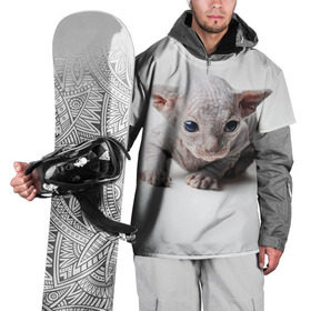 Накидка на куртку 3D с принтом Сфинкс 1 в Тюмени, 100% полиэстер |  | кот | котенок | котик | котэ | кошка | сфинкс