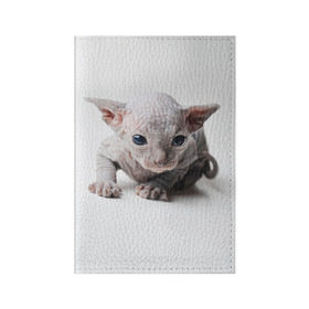 Обложка для паспорта матовая кожа с принтом Сфинкс 1 в Тюмени, натуральная матовая кожа | размер 19,3 х 13,7 см; прозрачные пластиковые крепления | кот | котенок | котик | котэ | кошка | сфинкс