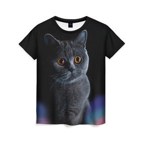 Женская футболка 3D с принтом Британец 1 в Тюмени, 100% полиэфир ( синтетическое хлопкоподобное полотно) | прямой крой, круглый вырез горловины, длина до линии бедер | Тематика изображения на принте: британец | британская | британцы | кот | котенок | котик | котэ | кошка