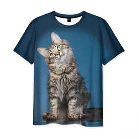 Мужская футболка 3D с принтом Мейн-кун 2 в Тюмени, 100% полиэфир | прямой крой, круглый вырез горловины, длина до линии бедер | кот | котенок | котик | котэ | кошка | мейн кун | мейнкун | мэйн кун | мэйнкун