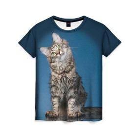 Женская футболка 3D с принтом Мейн-кун 2 в Тюмени, 100% полиэфир ( синтетическое хлопкоподобное полотно) | прямой крой, круглый вырез горловины, длина до линии бедер | кот | котенок | котик | котэ | кошка | мейн кун | мейнкун | мэйн кун | мэйнкун