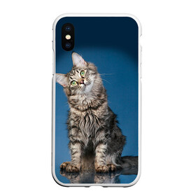 Чехол для iPhone XS Max матовый с принтом Мейн-кун 2 в Тюмени, Силикон | Область печати: задняя сторона чехла, без боковых панелей | кот | котенок | котик | котэ | кошка | мейн кун | мейнкун | мэйн кун | мэйнкун