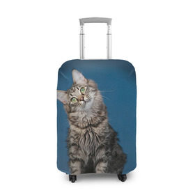 Чехол для чемодана 3D с принтом Мейн-кун 2 в Тюмени, 86% полиэфир, 14% спандекс | двустороннее нанесение принта, прорези для ручек и колес | кот | котенок | котик | котэ | кошка | мейн кун | мейнкун | мэйн кун | мэйнкун