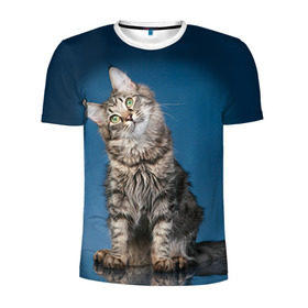 Мужская футболка 3D спортивная с принтом Мейн-кун 2 в Тюмени, 100% полиэстер с улучшенными характеристиками | приталенный силуэт, круглая горловина, широкие плечи, сужается к линии бедра | кот | котенок | котик | котэ | кошка | мейн кун | мейнкун | мэйн кун | мэйнкун