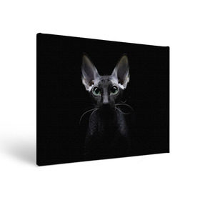 Холст прямоугольный с принтом Сфинкс 2 в Тюмени, 100% ПВХ |  | Тематика изображения на принте: кот | котенок | котик | котэ | кошка | сфинкс