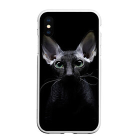 Чехол для iPhone XS Max матовый с принтом Сфинкс 2 в Тюмени, Силикон | Область печати: задняя сторона чехла, без боковых панелей | Тематика изображения на принте: кот | котенок | котик | котэ | кошка | сфинкс