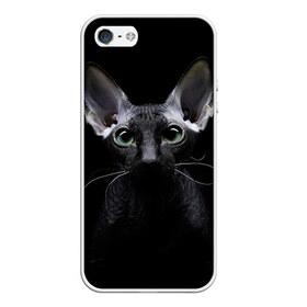 Чехол для iPhone 5/5S матовый с принтом Сфинкс 2 в Тюмени, Силикон | Область печати: задняя сторона чехла, без боковых панелей | Тематика изображения на принте: кот | котенок | котик | котэ | кошка | сфинкс