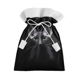 Подарочный 3D мешок с принтом Сфинкс 2 в Тюмени, 100% полиэстер | Размер: 29*39 см | Тематика изображения на принте: кот | котенок | котик | котэ | кошка | сфинкс