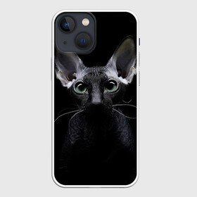Чехол для iPhone 13 mini с принтом Сфинкс 2 в Тюмени,  |  | Тематика изображения на принте: кот | котенок | котик | котэ | кошка | сфинкс