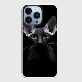 Чехол для iPhone 13 Pro с принтом Сфинкс 2 в Тюмени,  |  | Тематика изображения на принте: кот | котенок | котик | котэ | кошка | сфинкс