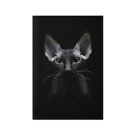 Обложка для паспорта матовая кожа с принтом Сфинкс 2 в Тюмени, натуральная матовая кожа | размер 19,3 х 13,7 см; прозрачные пластиковые крепления | кот | котенок | котик | котэ | кошка | сфинкс