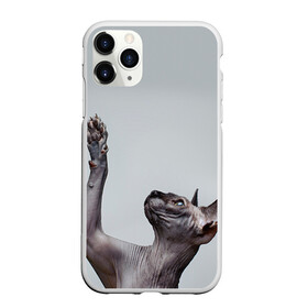 Чехол для iPhone 11 Pro матовый с принтом Сфинкс 3 в Тюмени, Силикон |  | Тематика изображения на принте: кот | котенок | котик | котэ | кошка | сфинкс