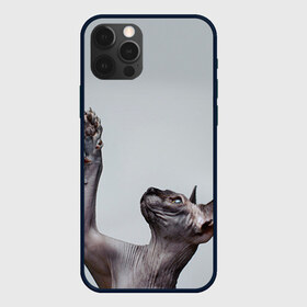 Чехол для iPhone 12 Pro Max с принтом Сфинкс 3 в Тюмени, Силикон |  | Тематика изображения на принте: кот | котенок | котик | котэ | кошка | сфинкс