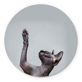 Коврик круглый с принтом Сфинкс 3 в Тюмени, резина и полиэстер | круглая форма, изображение наносится на всю лицевую часть | Тематика изображения на принте: кот | котенок | котик | котэ | кошка | сфинкс