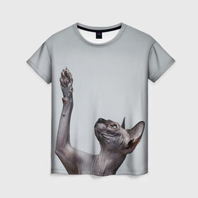 Женская футболка 3D с принтом Сфинкс 3 в Тюмени, 100% полиэфир ( синтетическое хлопкоподобное полотно) | прямой крой, круглый вырез горловины, длина до линии бедер | кот | котенок | котик | котэ | кошка | сфинкс