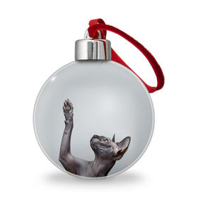 Ёлочный шар с принтом Сфинкс 3 в Тюмени, Пластик | Диаметр: 77 мм | кот | котенок | котик | котэ | кошка | сфинкс