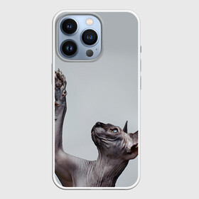 Чехол для iPhone 13 Pro с принтом Сфинкс 3 в Тюмени,  |  | Тематика изображения на принте: кот | котенок | котик | котэ | кошка | сфинкс