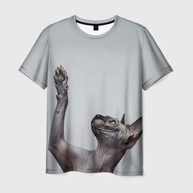 Мужская футболка 3D с принтом Сфинкс 3 в Тюмени, 100% полиэфир | прямой крой, круглый вырез горловины, длина до линии бедер | кот | котенок | котик | котэ | кошка | сфинкс