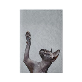 Обложка для паспорта матовая кожа с принтом Сфинкс 3 в Тюмени, натуральная матовая кожа | размер 19,3 х 13,7 см; прозрачные пластиковые крепления | кот | котенок | котик | котэ | кошка | сфинкс