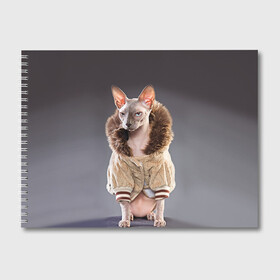 Альбом для рисования с принтом Сфинкс 4 в Тюмени, 100% бумага
 | матовая бумага, плотность 200 мг. | Тематика изображения на принте: кот | котенок | котик | котэ | кошка | сфинкс