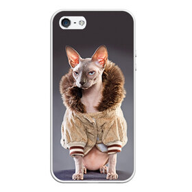 Чехол для iPhone 5/5S матовый с принтом Сфинкс 4 в Тюмени, Силикон | Область печати: задняя сторона чехла, без боковых панелей | Тематика изображения на принте: кот | котенок | котик | котэ | кошка | сфинкс