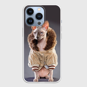 Чехол для iPhone 13 Pro с принтом Сфинкс 4 в Тюмени,  |  | Тематика изображения на принте: кот | котенок | котик | котэ | кошка | сфинкс