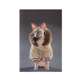 Обложка для паспорта матовая кожа с принтом Сфинкс 4 в Тюмени, натуральная матовая кожа | размер 19,3 х 13,7 см; прозрачные пластиковые крепления | Тематика изображения на принте: кот | котенок | котик | котэ | кошка | сфинкс