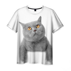 Мужская футболка 3D с принтом Британец 2 в Тюмени, 100% полиэфир | прямой крой, круглый вырез горловины, длина до линии бедер | Тематика изображения на принте: британец | британская | британцы | кот | котенок | котик | котэ | кошка