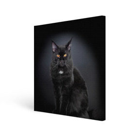 Холст квадратный с принтом Мейн-кун 3 в Тюмени, 100% ПВХ |  | кот | котенок | котик | котэ | кошка | мейн кун | мейнкун | мэйн кун | мэйнкун