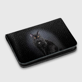 Картхолдер с принтом с принтом Мейн-кун 3 в Тюмени, натуральная матовая кожа | размер 7,3 х 10 см; кардхолдер имеет 4 кармана для карт; | кот | котенок | котик | котэ | кошка | мейн кун | мейнкун | мэйн кун | мэйнкун
