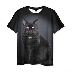 Мужская футболка 3D с принтом Мейн-кун 3 в Тюмени, 100% полиэфир | прямой крой, круглый вырез горловины, длина до линии бедер | Тематика изображения на принте: кот | котенок | котик | котэ | кошка | мейн кун | мейнкун | мэйн кун | мэйнкун