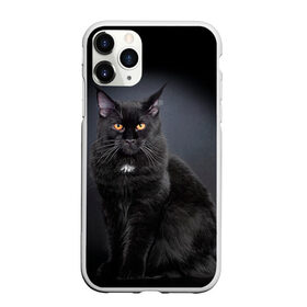 Чехол для iPhone 11 Pro матовый с принтом Мейн-кун 3 в Тюмени, Силикон |  | кот | котенок | котик | котэ | кошка | мейн кун | мейнкун | мэйн кун | мэйнкун