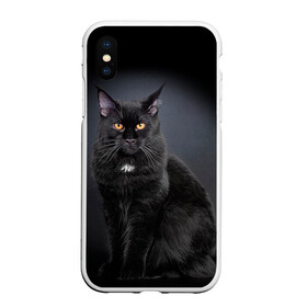 Чехол для iPhone XS Max матовый с принтом Мейн-кун 3 в Тюмени, Силикон | Область печати: задняя сторона чехла, без боковых панелей | кот | котенок | котик | котэ | кошка | мейн кун | мейнкун | мэйн кун | мэйнкун