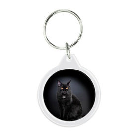 Брелок круглый с принтом Мейн-кун 3 в Тюмени, пластик и полированная сталь | круглая форма, металлическое крепление в виде кольца | Тематика изображения на принте: кот | котенок | котик | котэ | кошка | мейн кун | мейнкун | мэйн кун | мэйнкун