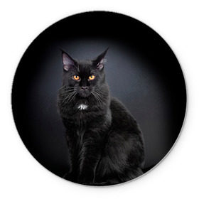 Коврик круглый с принтом Мейн-кун 3 в Тюмени, резина и полиэстер | круглая форма, изображение наносится на всю лицевую часть | кот | котенок | котик | котэ | кошка | мейн кун | мейнкун | мэйн кун | мэйнкун