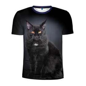 Мужская футболка 3D спортивная с принтом Мейн-кун 3 в Тюмени, 100% полиэстер с улучшенными характеристиками | приталенный силуэт, круглая горловина, широкие плечи, сужается к линии бедра | кот | котенок | котик | котэ | кошка | мейн кун | мейнкун | мэйн кун | мэйнкун