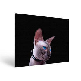 Холст прямоугольный с принтом Сфинкс 6 в Тюмени, 100% ПВХ |  | кот | котенок | котик | котэ | кошка | сфинкс
