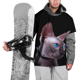 Накидка на куртку 3D с принтом Сфинкс 6 в Тюмени, 100% полиэстер |  | кот | котенок | котик | котэ | кошка | сфинкс