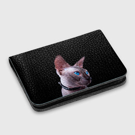 Картхолдер с принтом с принтом Сфинкс 6 в Тюмени, натуральная матовая кожа | размер 7,3 х 10 см; кардхолдер имеет 4 кармана для карт; | кот | котенок | котик | котэ | кошка | сфинкс