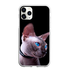 Чехол для iPhone 11 Pro матовый с принтом Сфинкс 6 в Тюмени, Силикон |  | Тематика изображения на принте: кот | котенок | котик | котэ | кошка | сфинкс