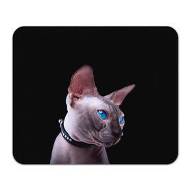 Коврик прямоугольный с принтом Сфинкс 6 в Тюмени, натуральный каучук | размер 230 х 185 мм; запечатка лицевой стороны | Тематика изображения на принте: кот | котенок | котик | котэ | кошка | сфинкс