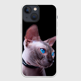 Чехол для iPhone 13 mini с принтом Сфинкс 6 в Тюмени,  |  | Тематика изображения на принте: кот | котенок | котик | котэ | кошка | сфинкс
