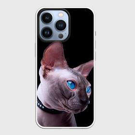 Чехол для iPhone 13 Pro с принтом Сфинкс 6 в Тюмени,  |  | Тематика изображения на принте: кот | котенок | котик | котэ | кошка | сфинкс
