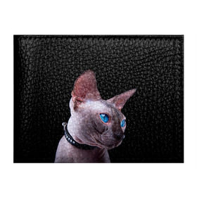Обложка для студенческого билета с принтом Сфинкс 6 в Тюмени, натуральная кожа | Размер: 11*8 см; Печать на всей внешней стороне | кот | котенок | котик | котэ | кошка | сфинкс