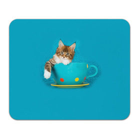 Коврик прямоугольный с принтом Мейн-кун 4 в Тюмени, натуральный каучук | размер 230 х 185 мм; запечатка лицевой стороны | Тематика изображения на принте: кот | котенок | котик | котэ | кошка | мейн кун | мейнкун | мэйн кун | мэйнкун