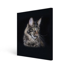 Холст квадратный с принтом Мейн-кун 5 в Тюмени, 100% ПВХ |  | кот | котенок | котик | котэ | кошка | мейн кун | мейнкун | мэйн кун | мэйнкун