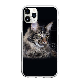 Чехол для iPhone 11 Pro матовый с принтом Мейн-кун 5 в Тюмени, Силикон |  | кот | котенок | котик | котэ | кошка | мейн кун | мейнкун | мэйн кун | мэйнкун